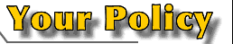term life insurance policy