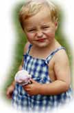 no load term life insurance